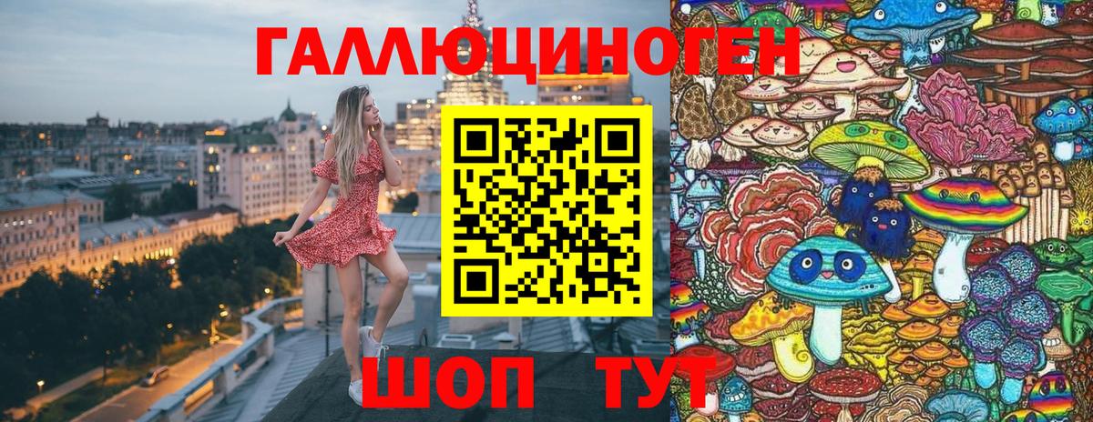 Галлюциногенные грибы Psilocybe Пятигорск